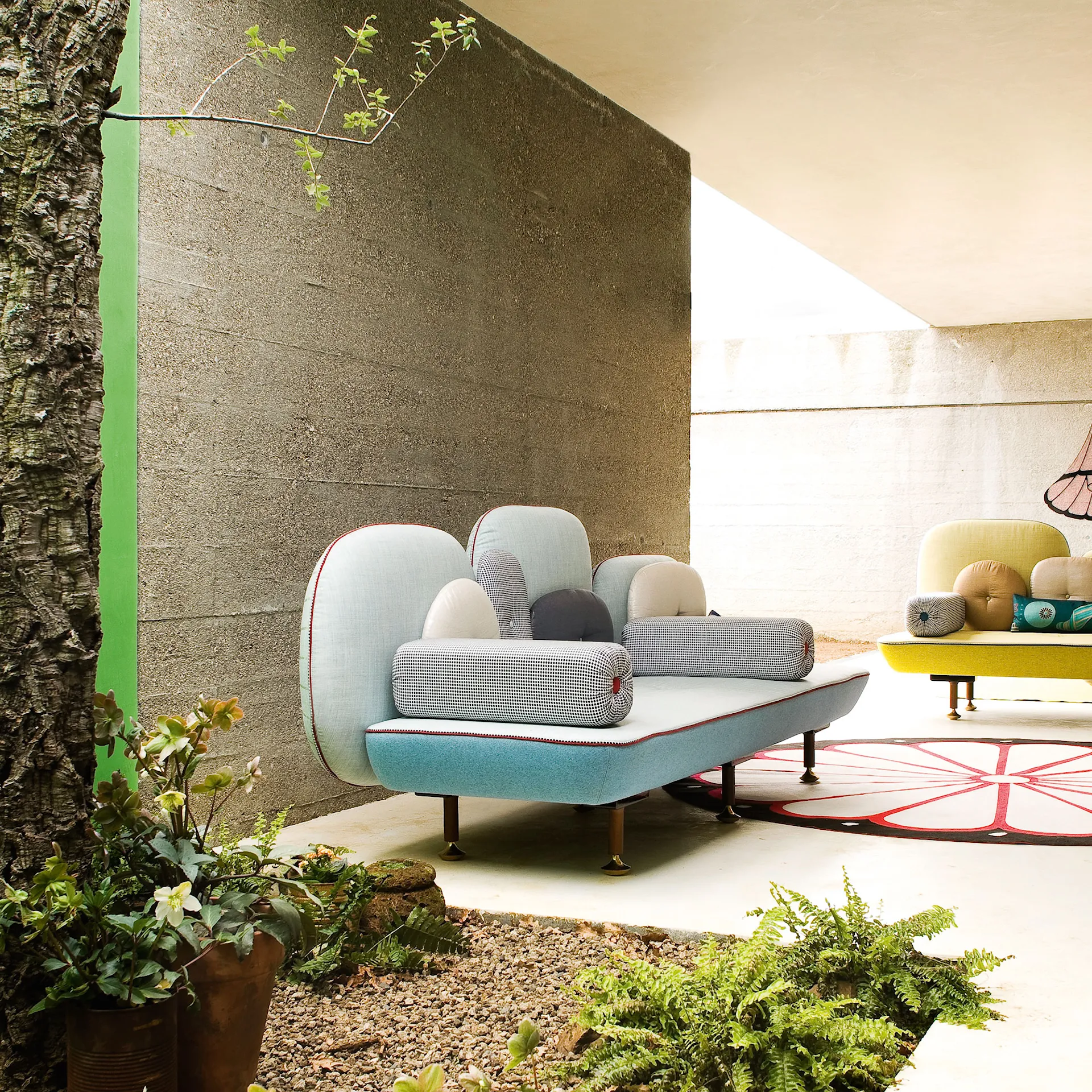 My Beautiful Backside Bench 261 - Moroso - NO GA