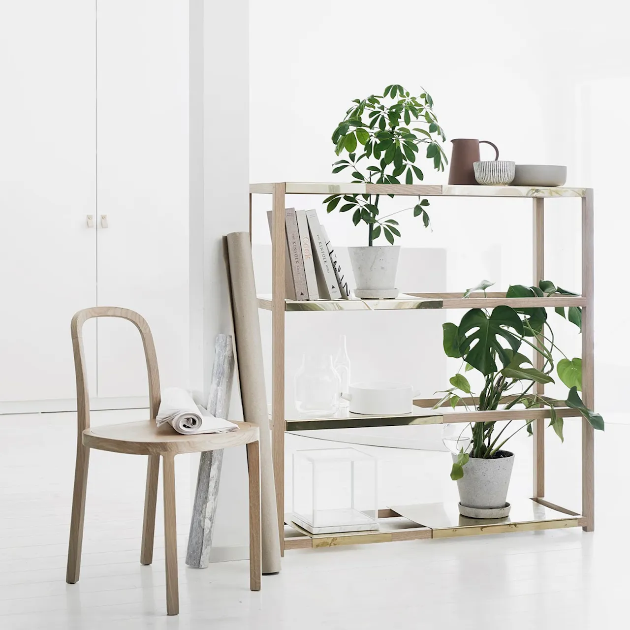 Botanic hylle høy
