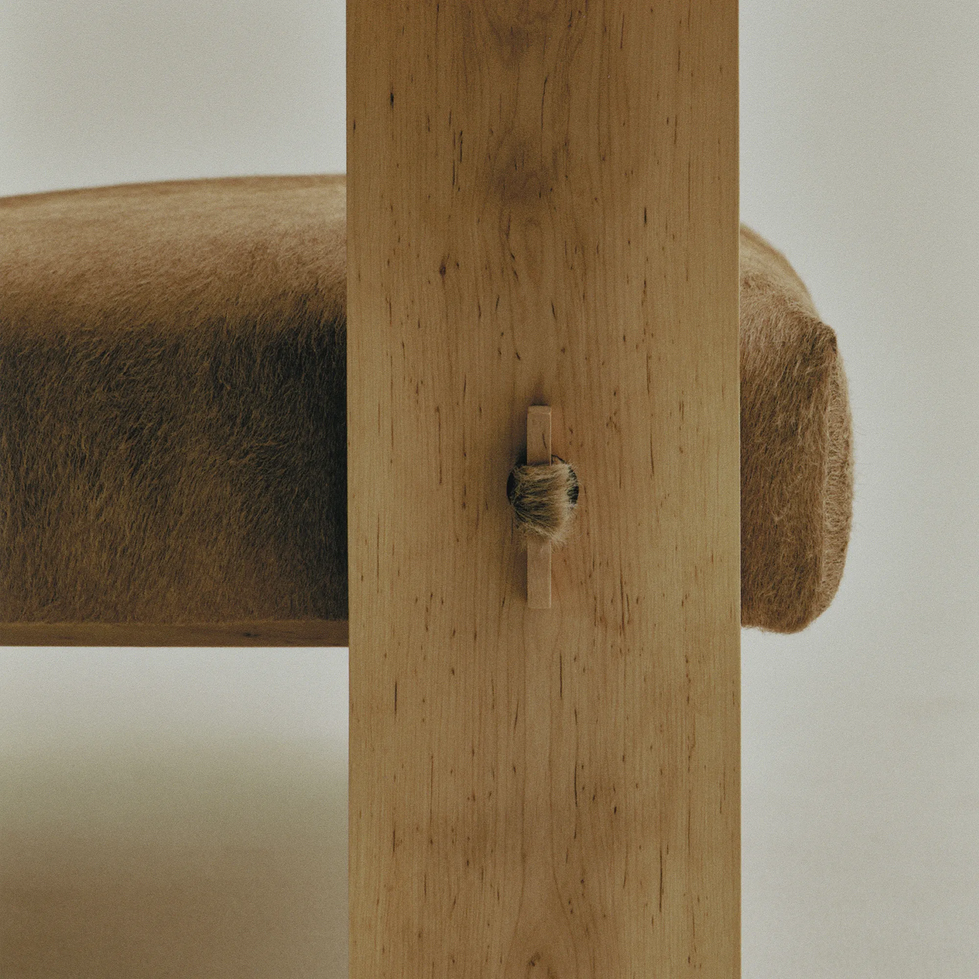 Gaucho lenestol - 5
