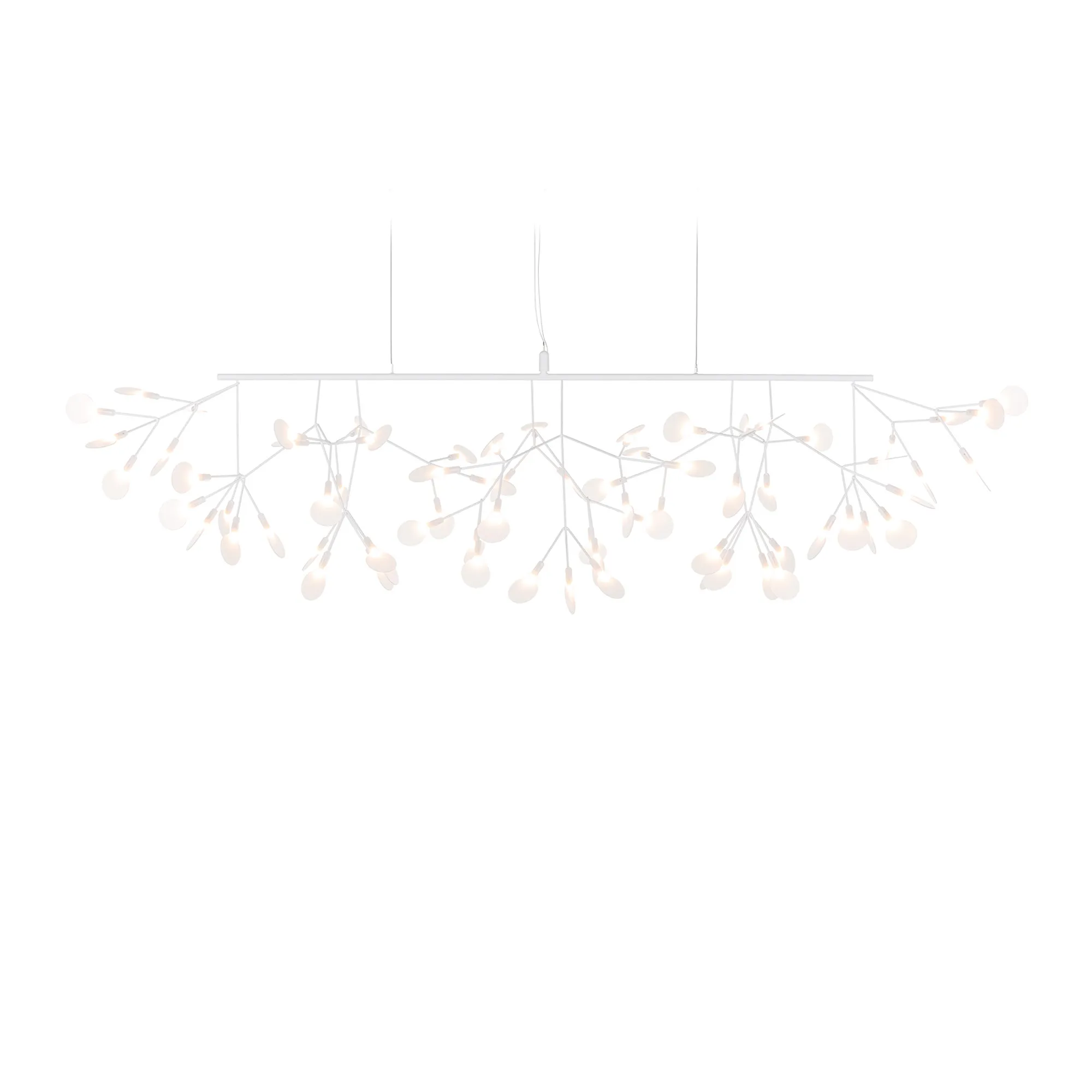 Heracleum III Linear lysekrone - 1