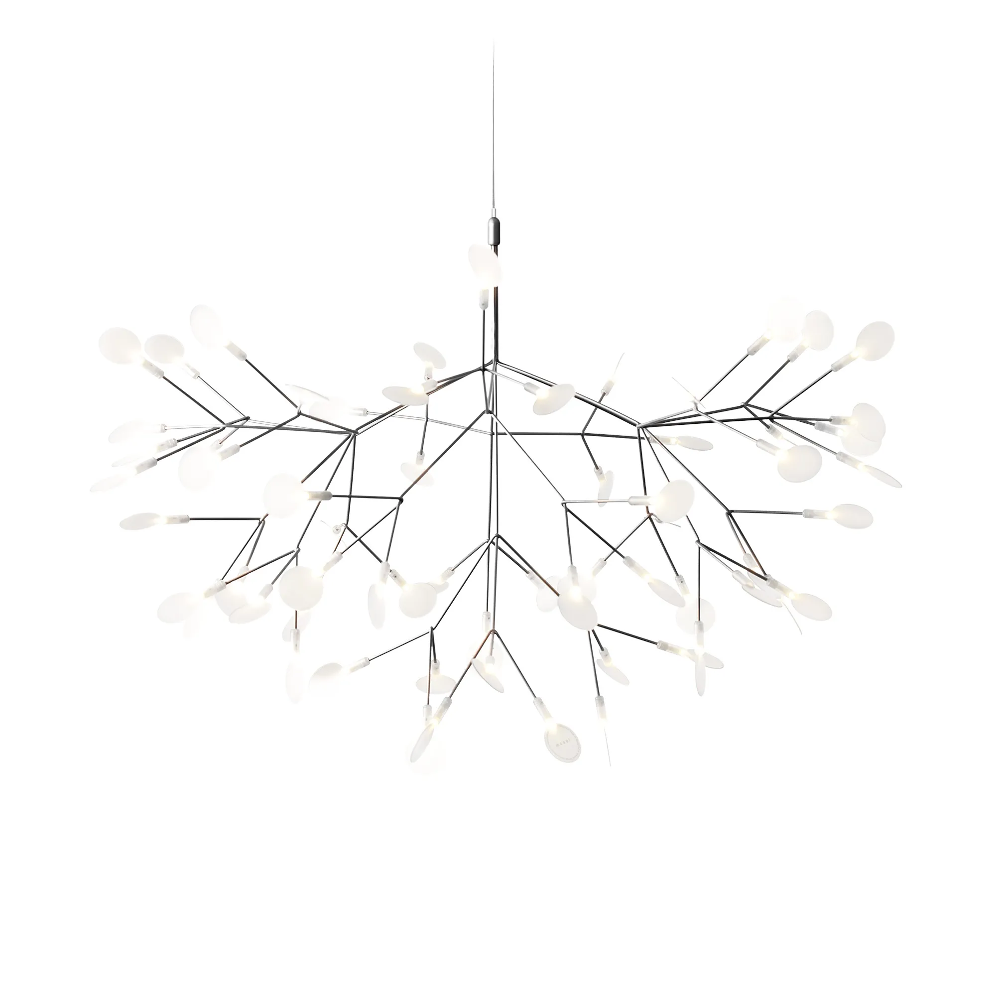 Heracleum III lysekrone - 1