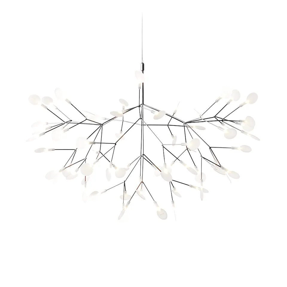 Heracleum III lysekrone