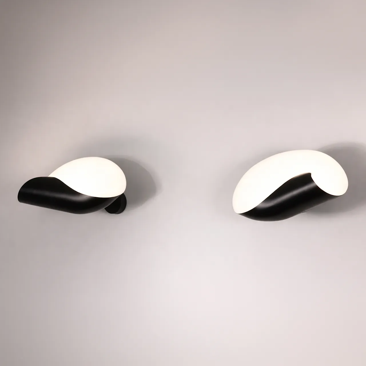 Seashell vegglampe