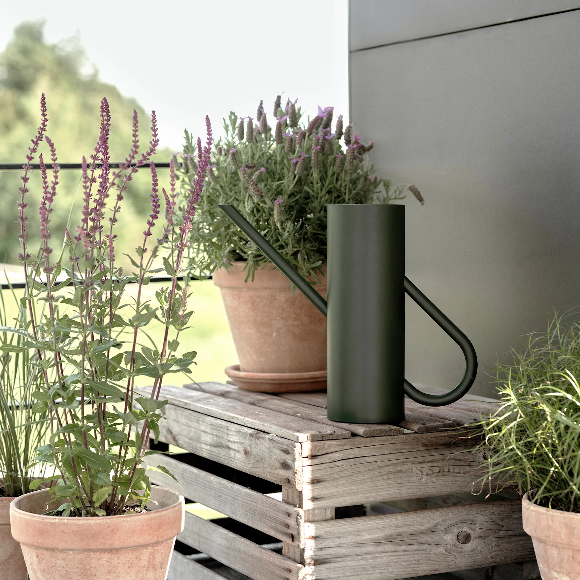 Bloom Vannkanne 2 L - Stelton - NO GA