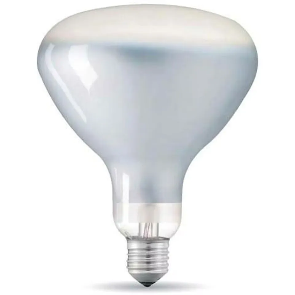 RF31458 E27 13W 1300lm 2700K Dimbar