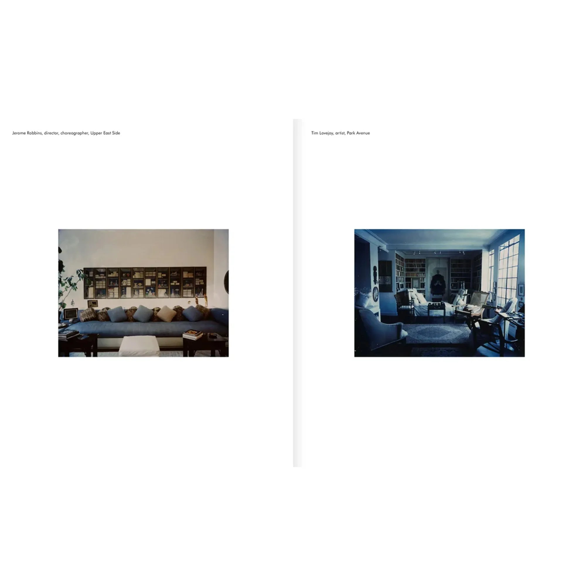 Paris Living Rooms, Dominique Nabokov fotobok - 2