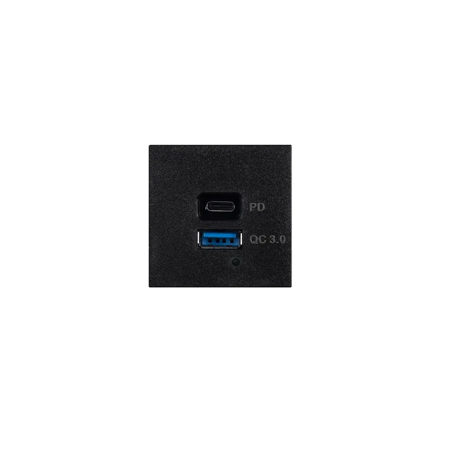 USB Module USB A + C Quickcharge 45 mm