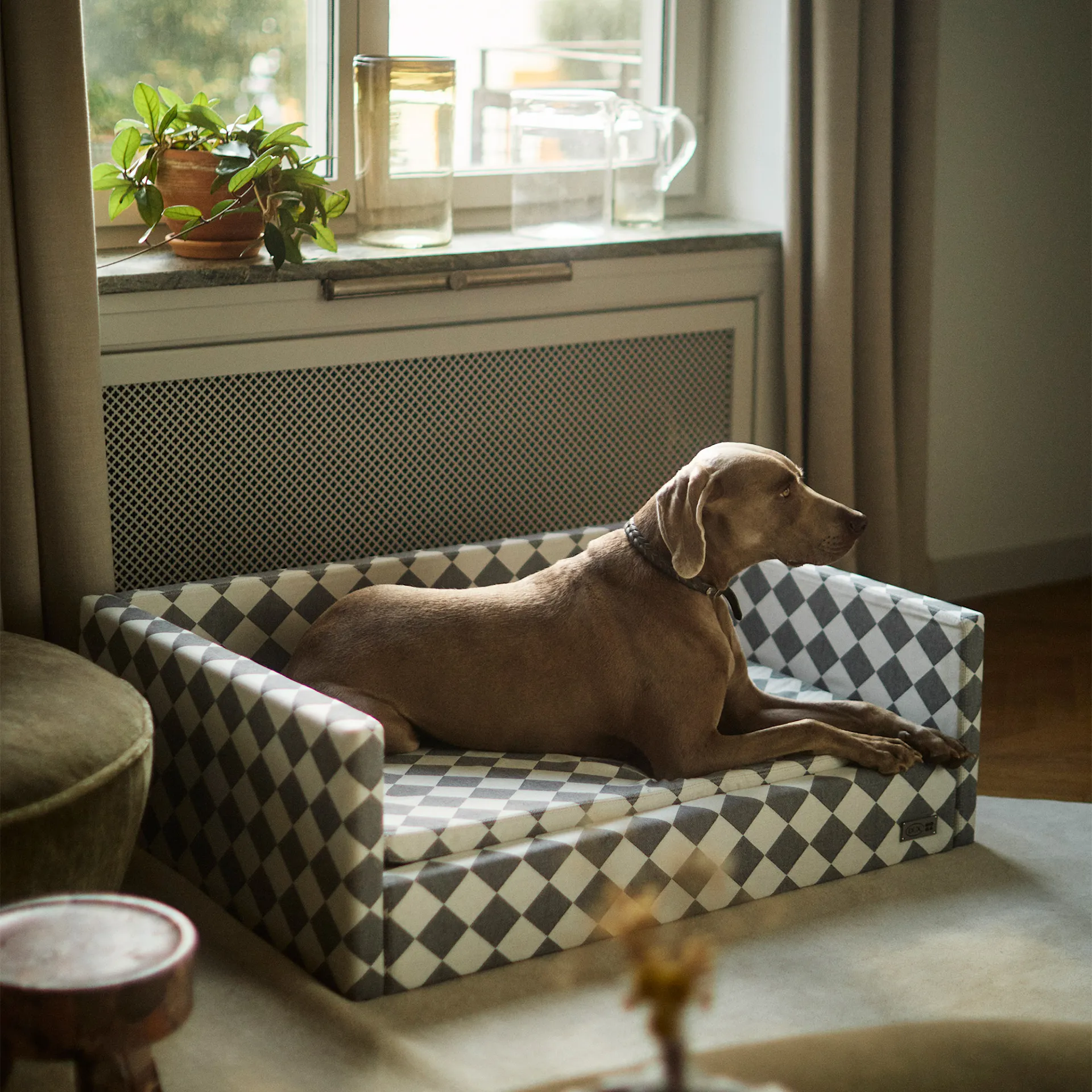 DUX Premium Dog Bed by Nordiska Galleriet - DUX - NO GA