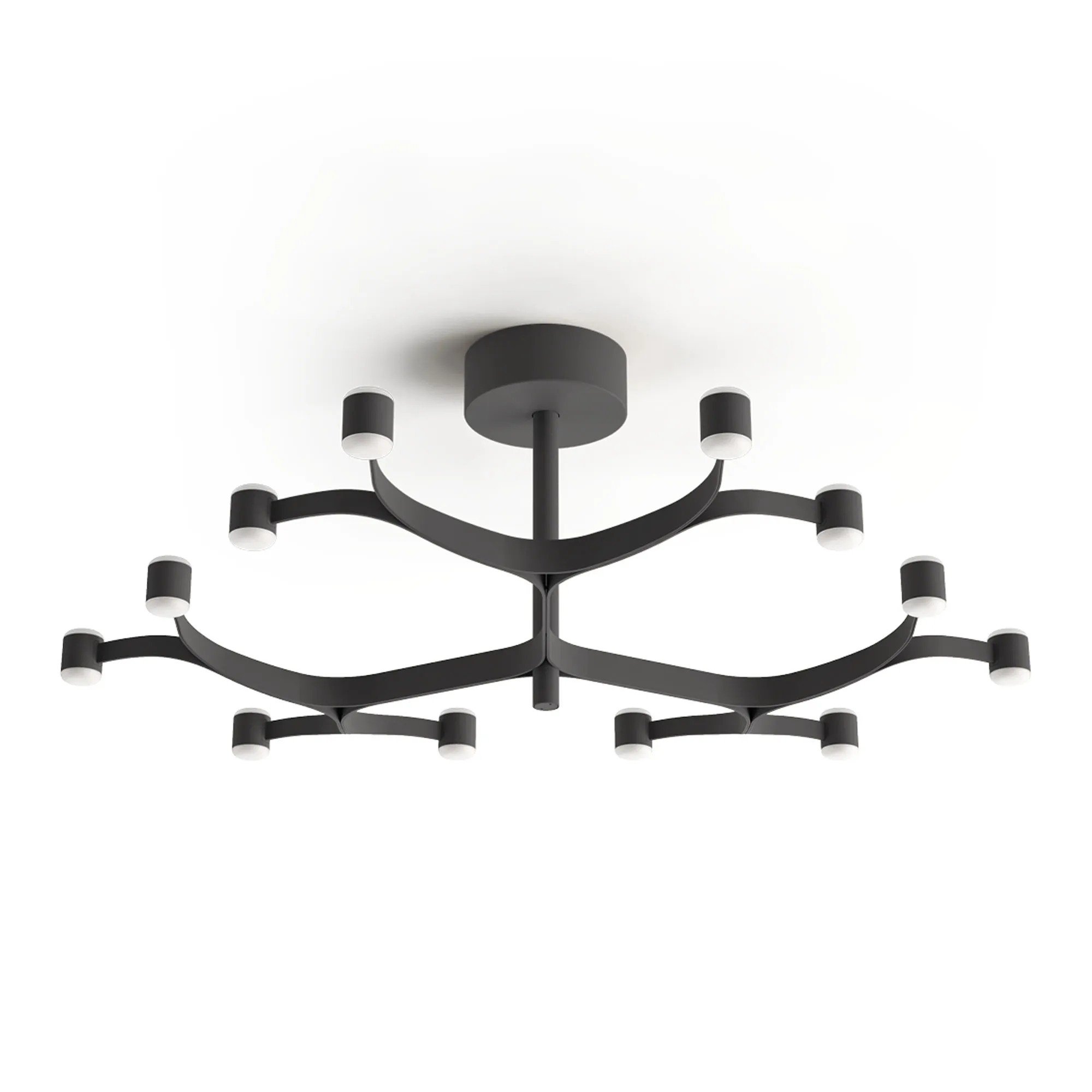Fronda 12 Phase-Cut plafond - 1