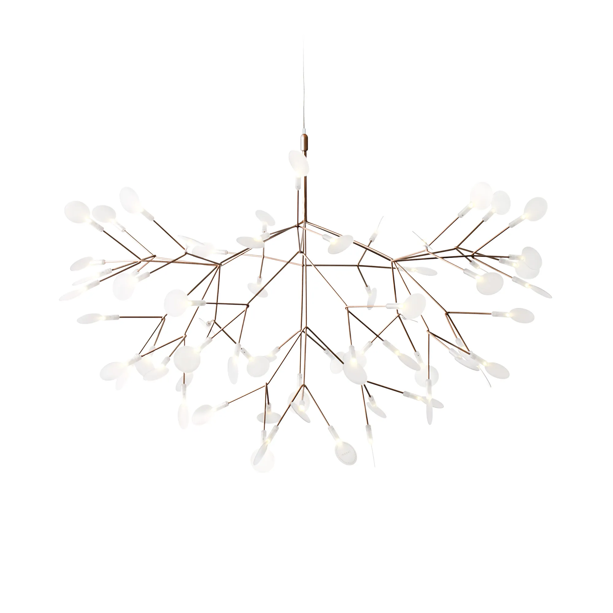 Heracleum III lysekrone - 1