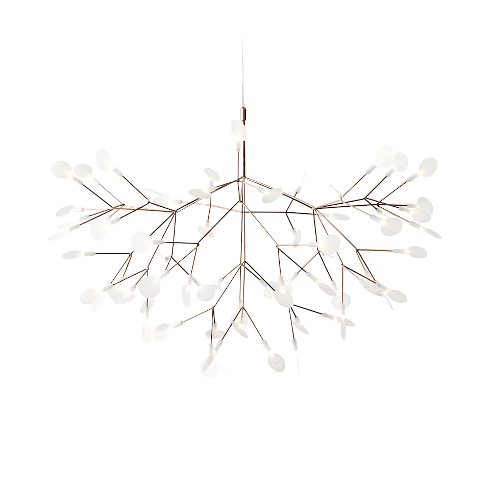 Heracleum III lysekrone
