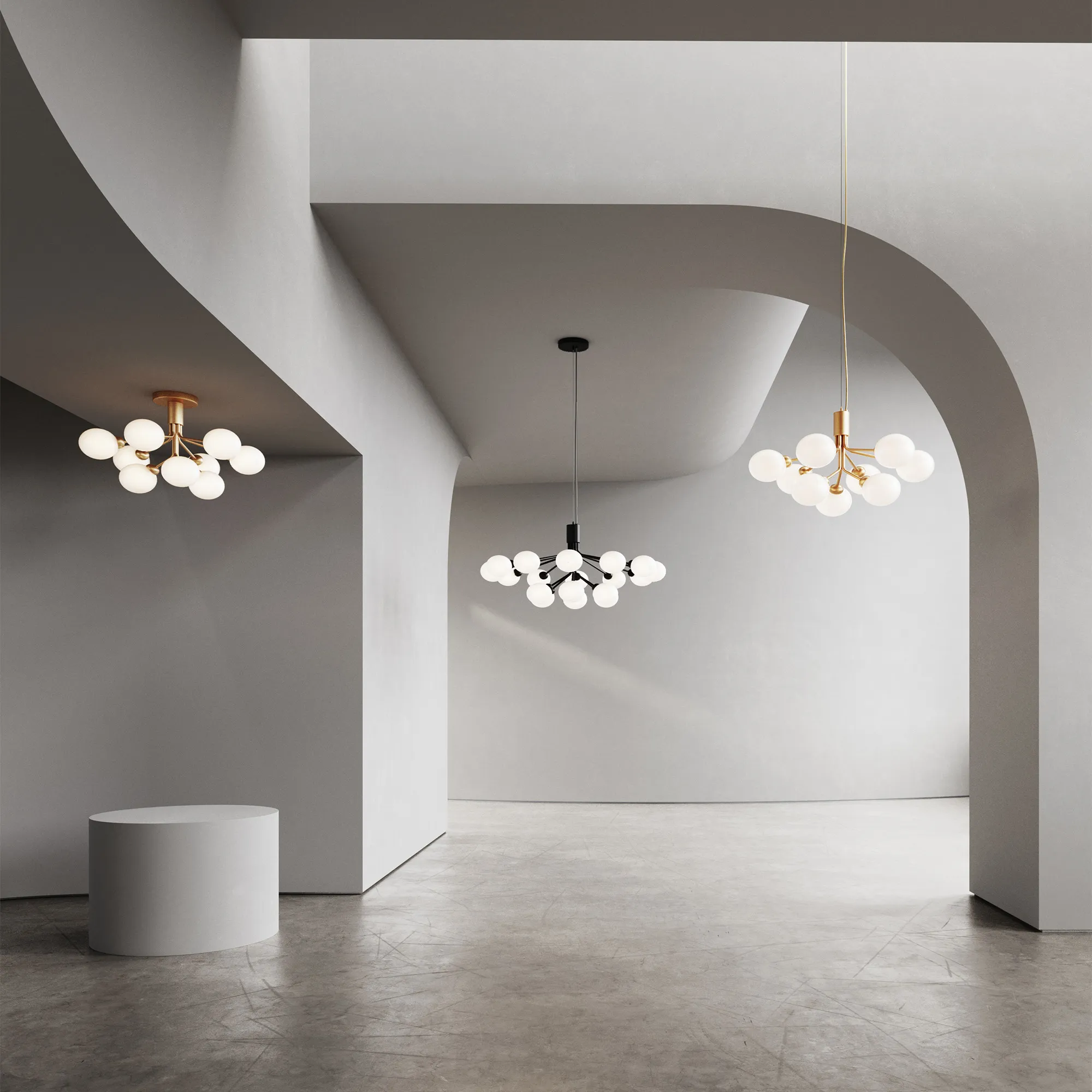 Apiales 9 Ceiling - 4