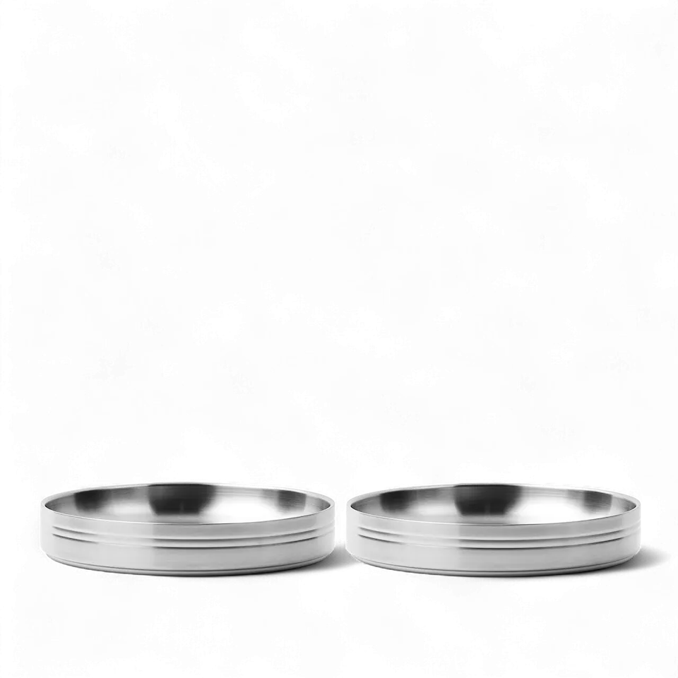 Stainless Steel Pastatallerken - sett med 2
