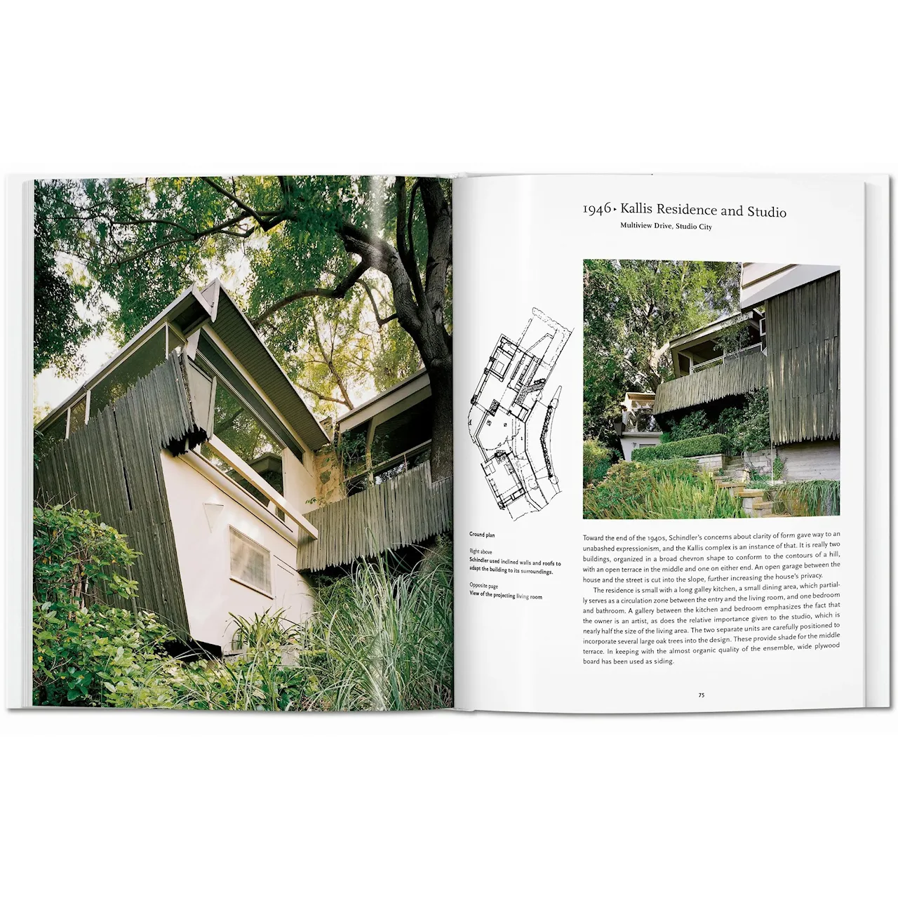 Schindler - Basic Art Series arkitekturbok