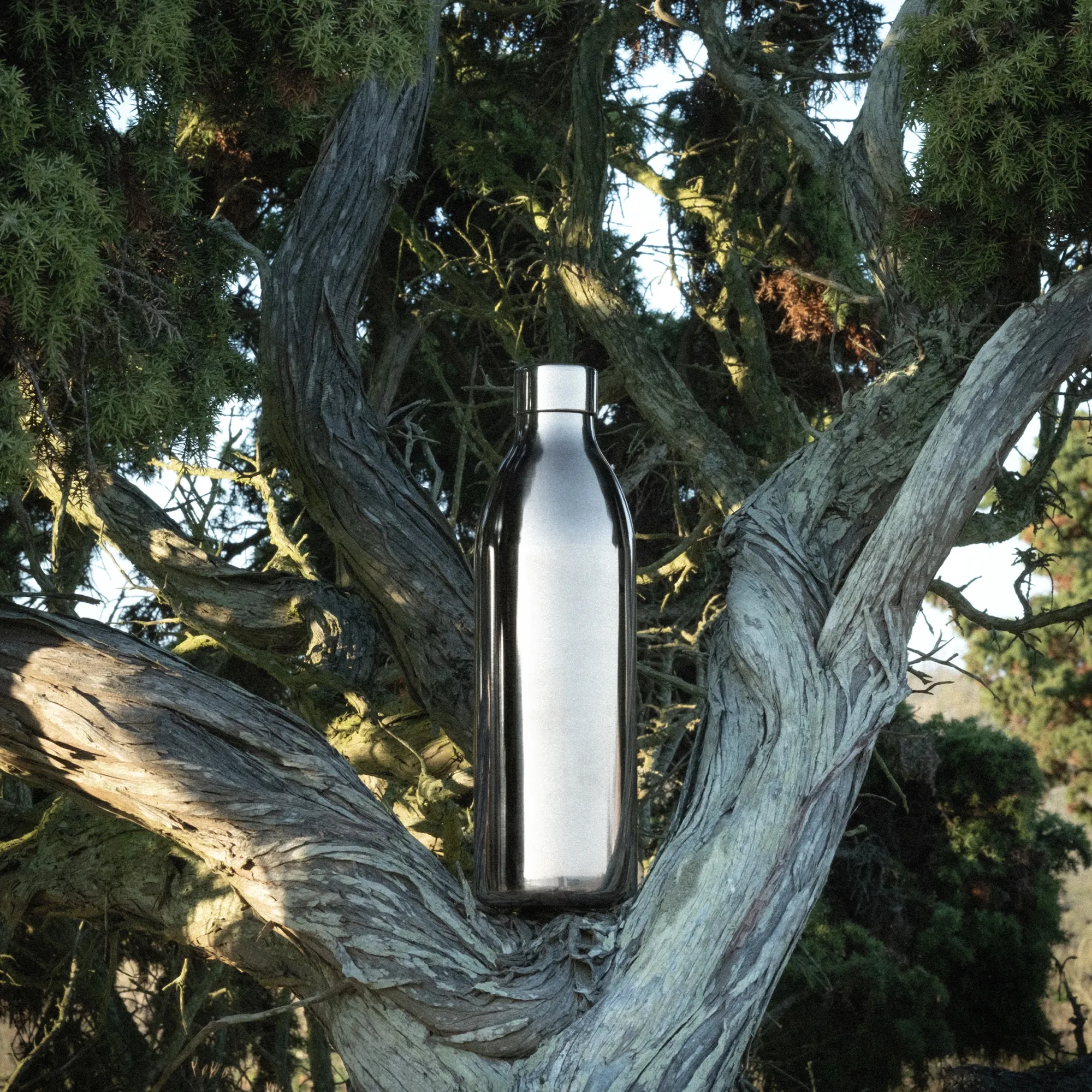 To-Go Bottle Carbonator 3 vannflaske - 6