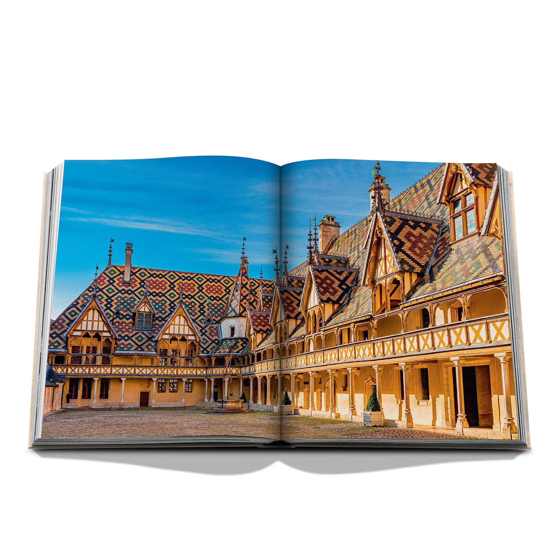 Wine and travel france - Assouline - NO GA