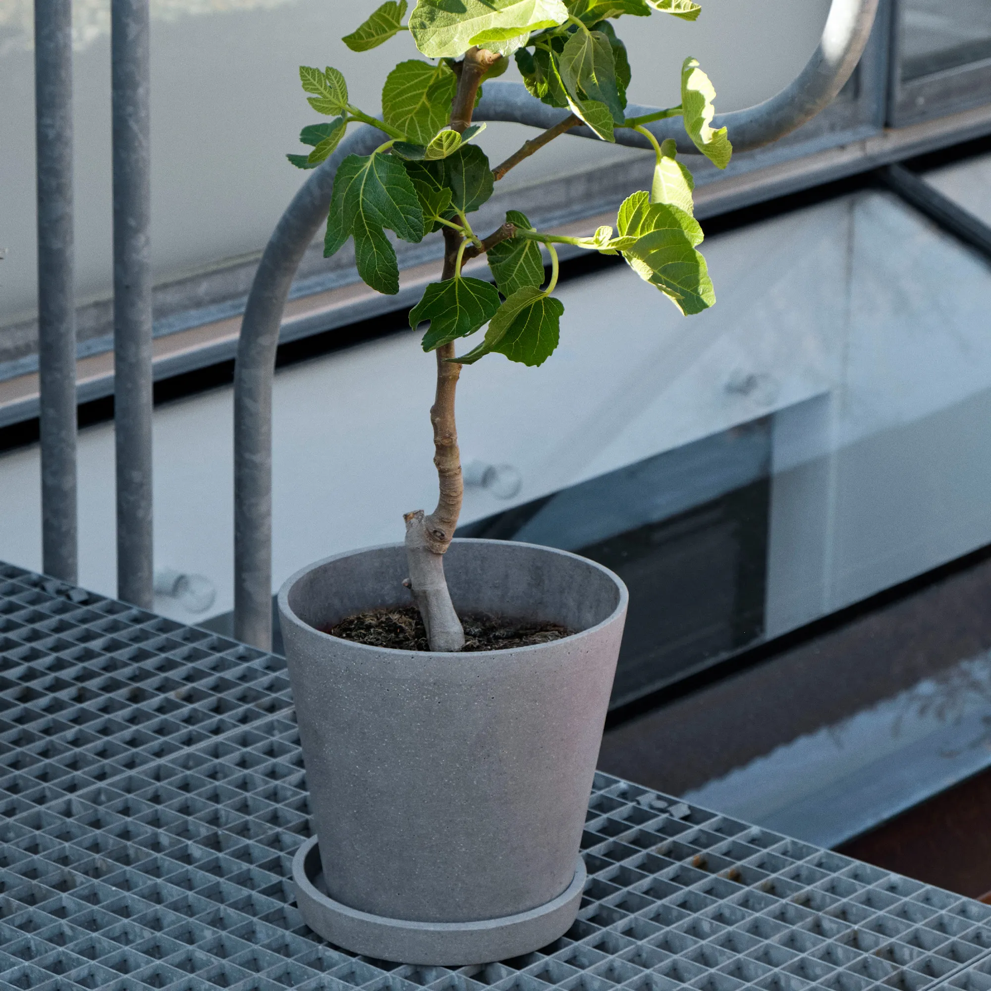 image 5 of 9