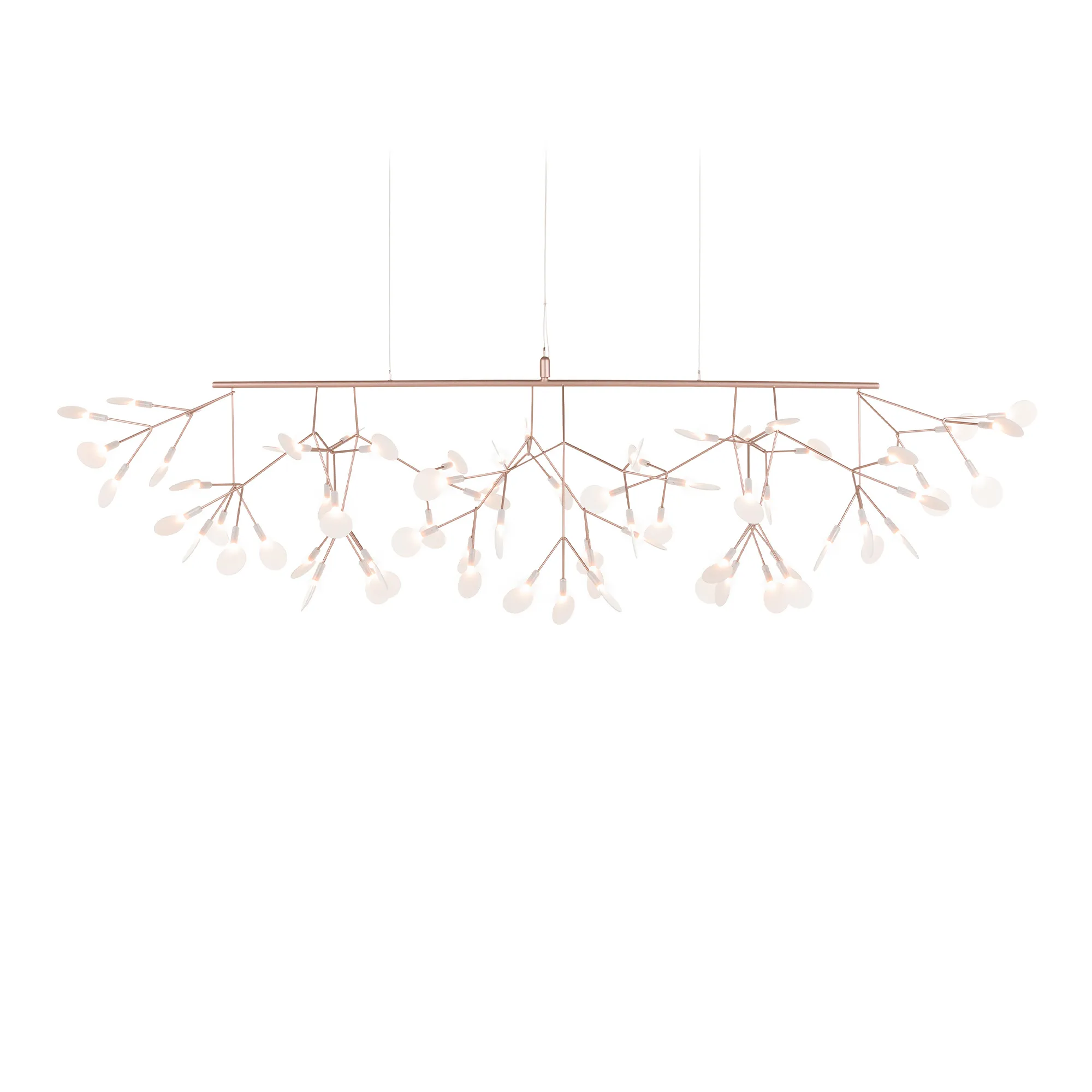Heracleum III Linear lysekrone - 1