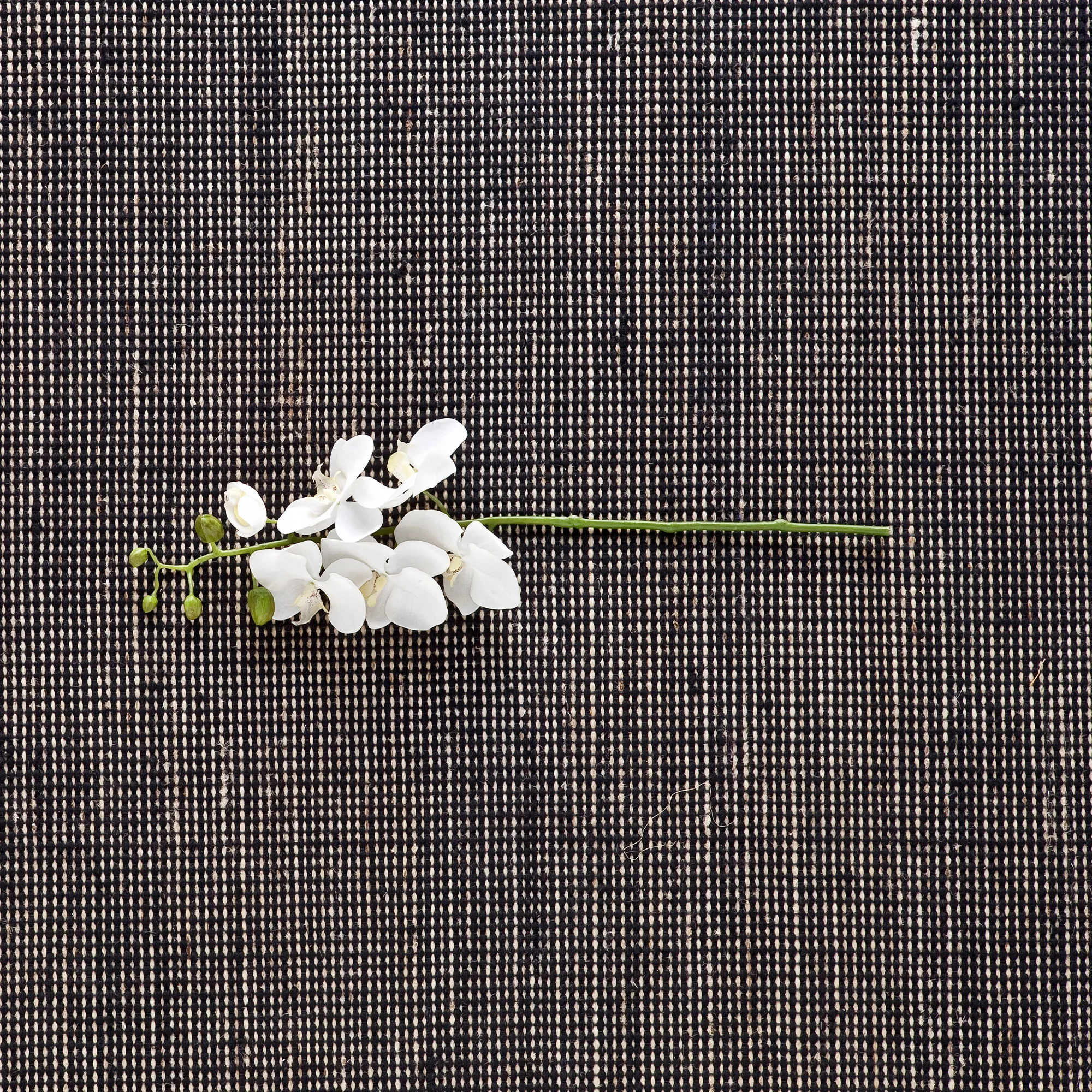 Tatami ullteppe Black - 3