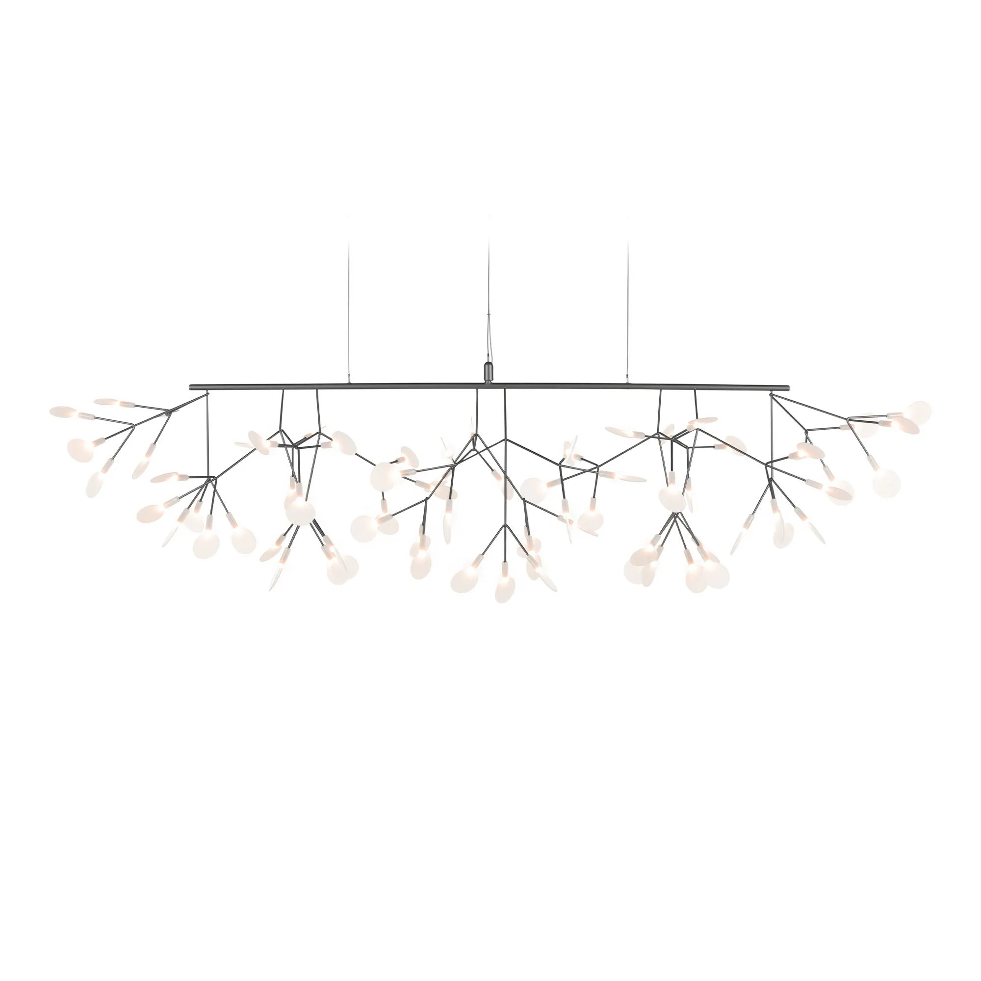 Heracleum III Linear lysekrone - 1