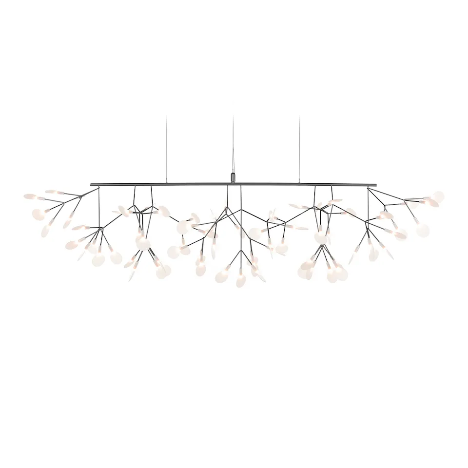 Heracleum III Linear lysekrone