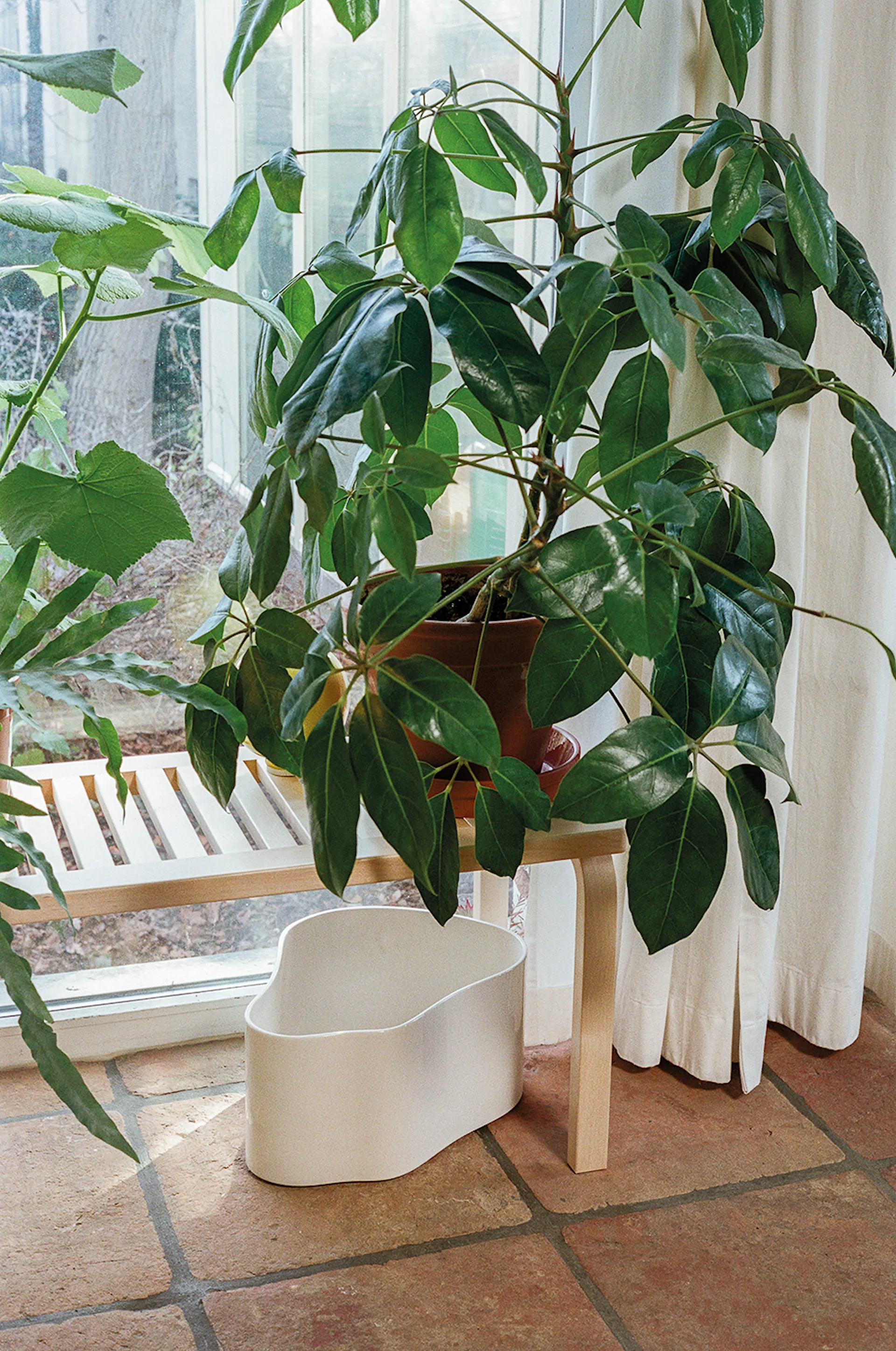 Riihitie Plant Pot Shape B Small - Artek - Aino Aalto - NO GA