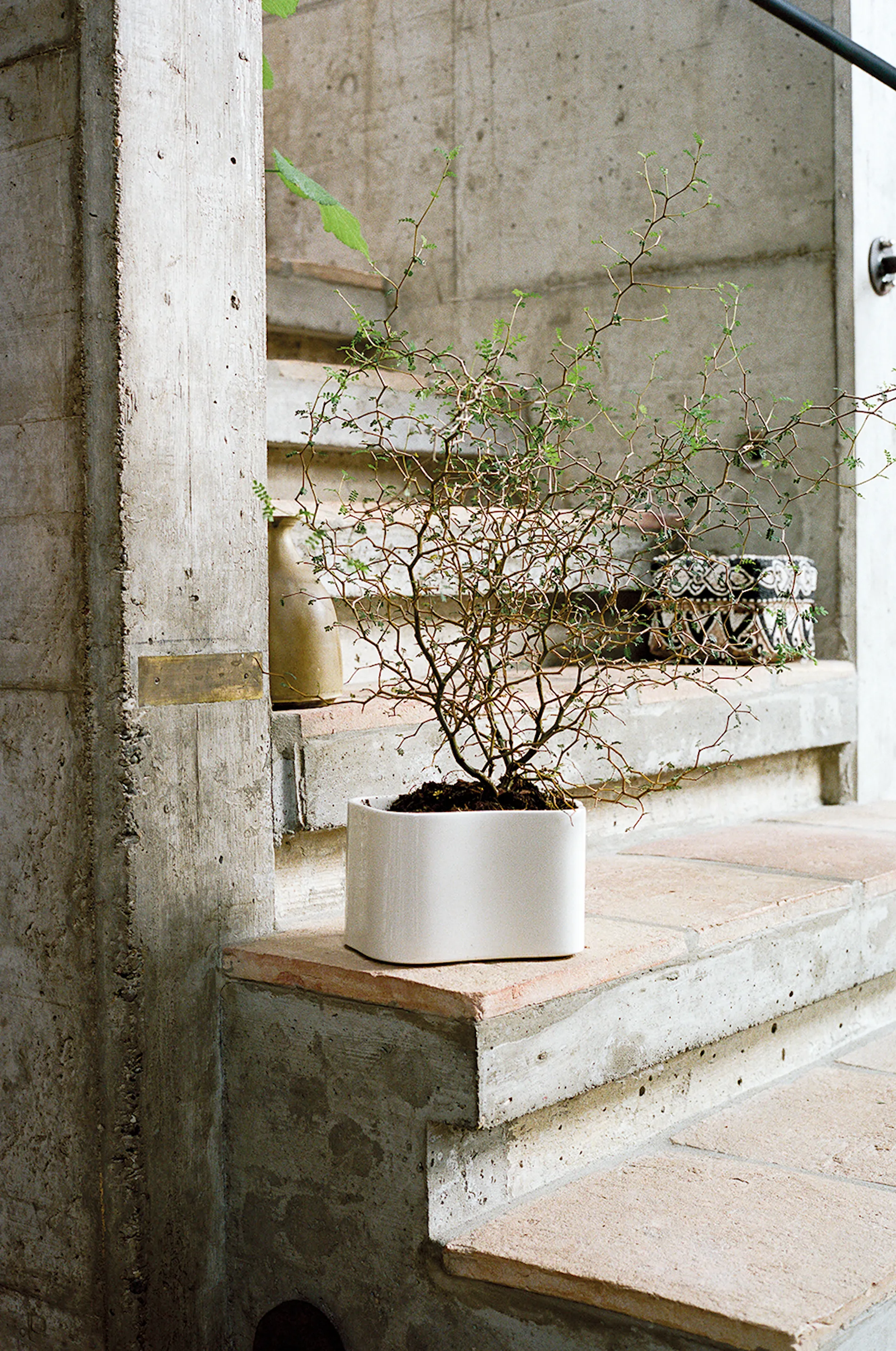 Riihitie Plant Pot Shape A Small - Artek - Aino Aalto - NO GA