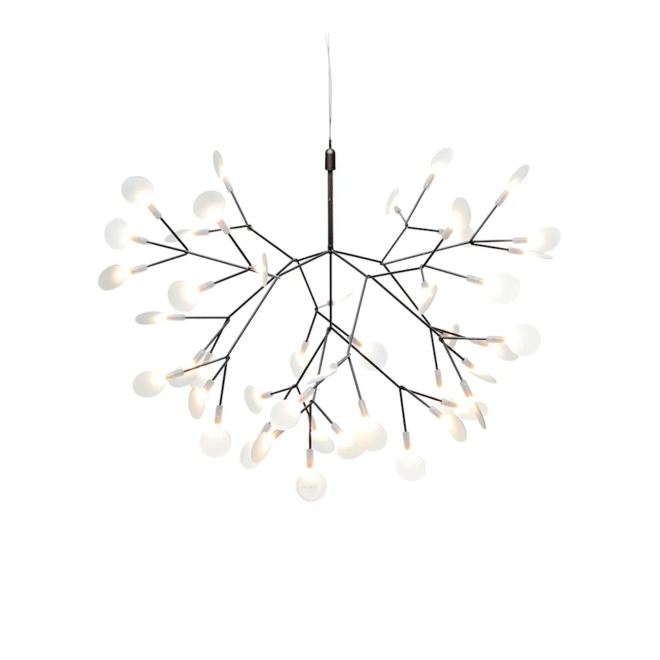 Heracleum III Small lysekrone