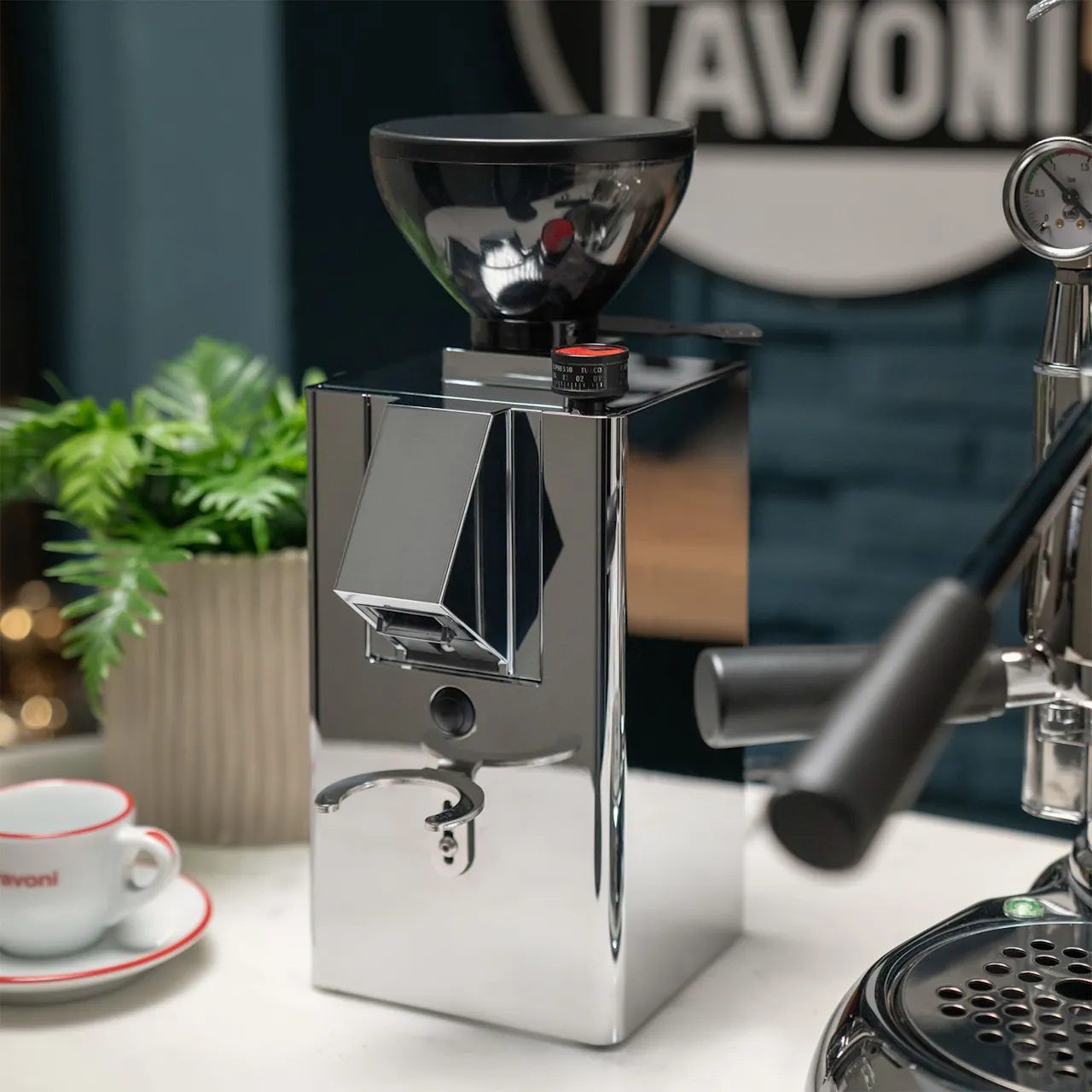 Nuovo Kube kaffekvern