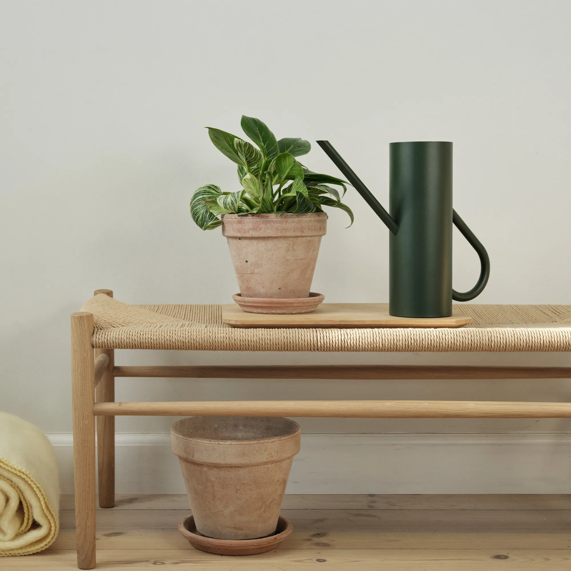 image 4 of 6