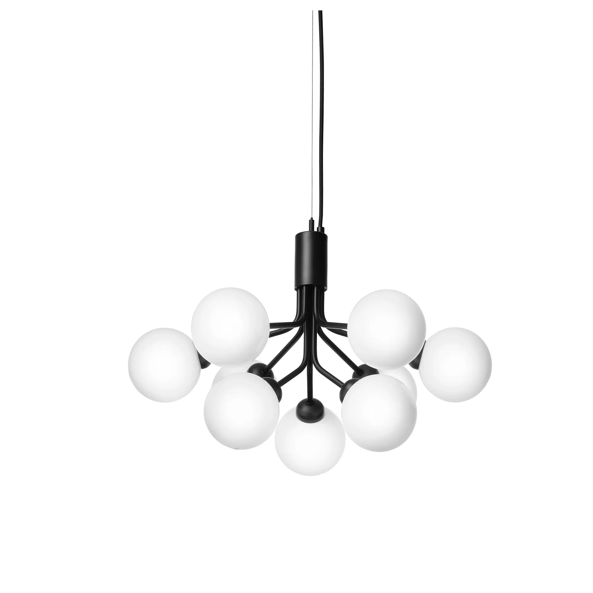 Apiales 9 Pendant - 1