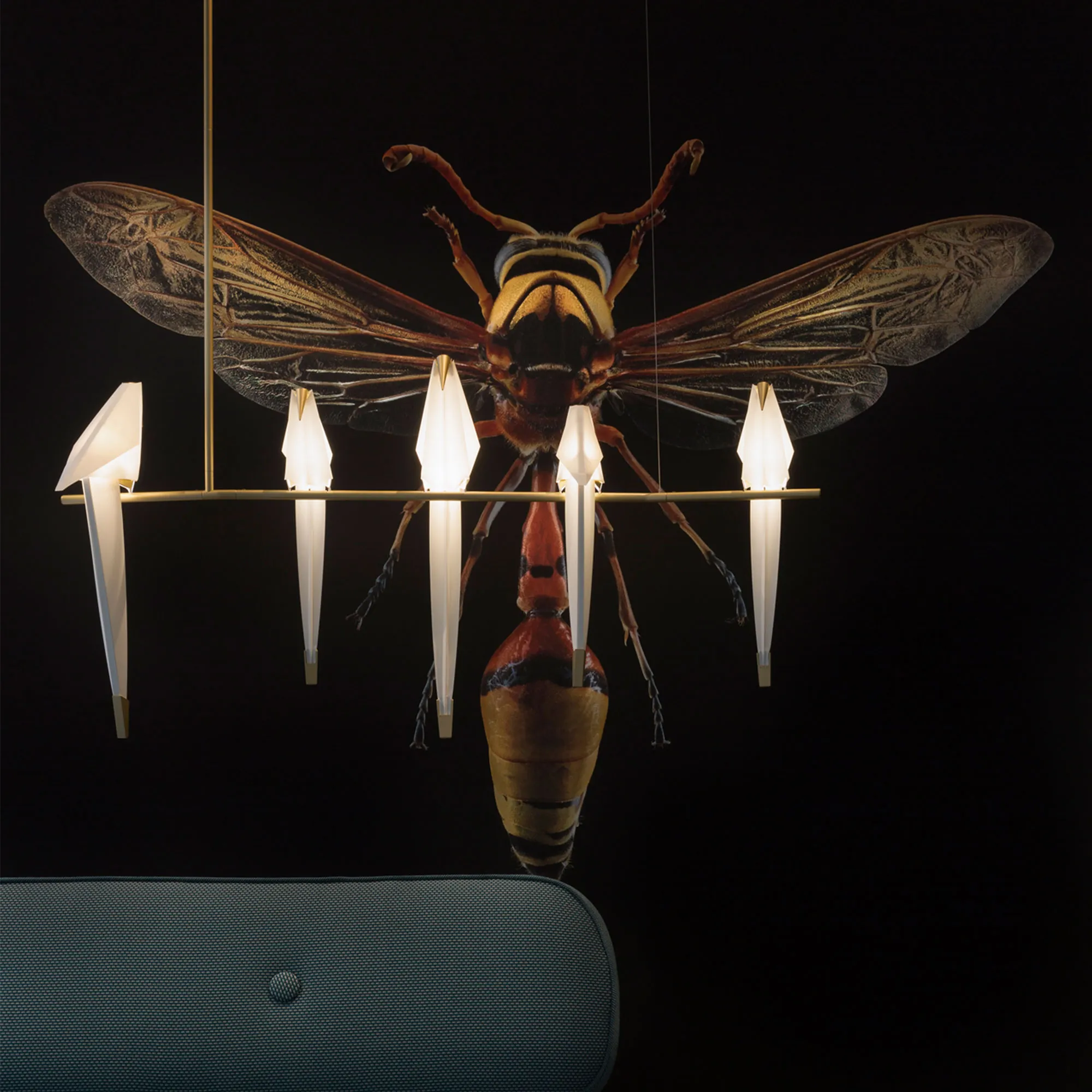 image 4 of 5