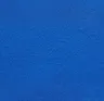 Disco Blue