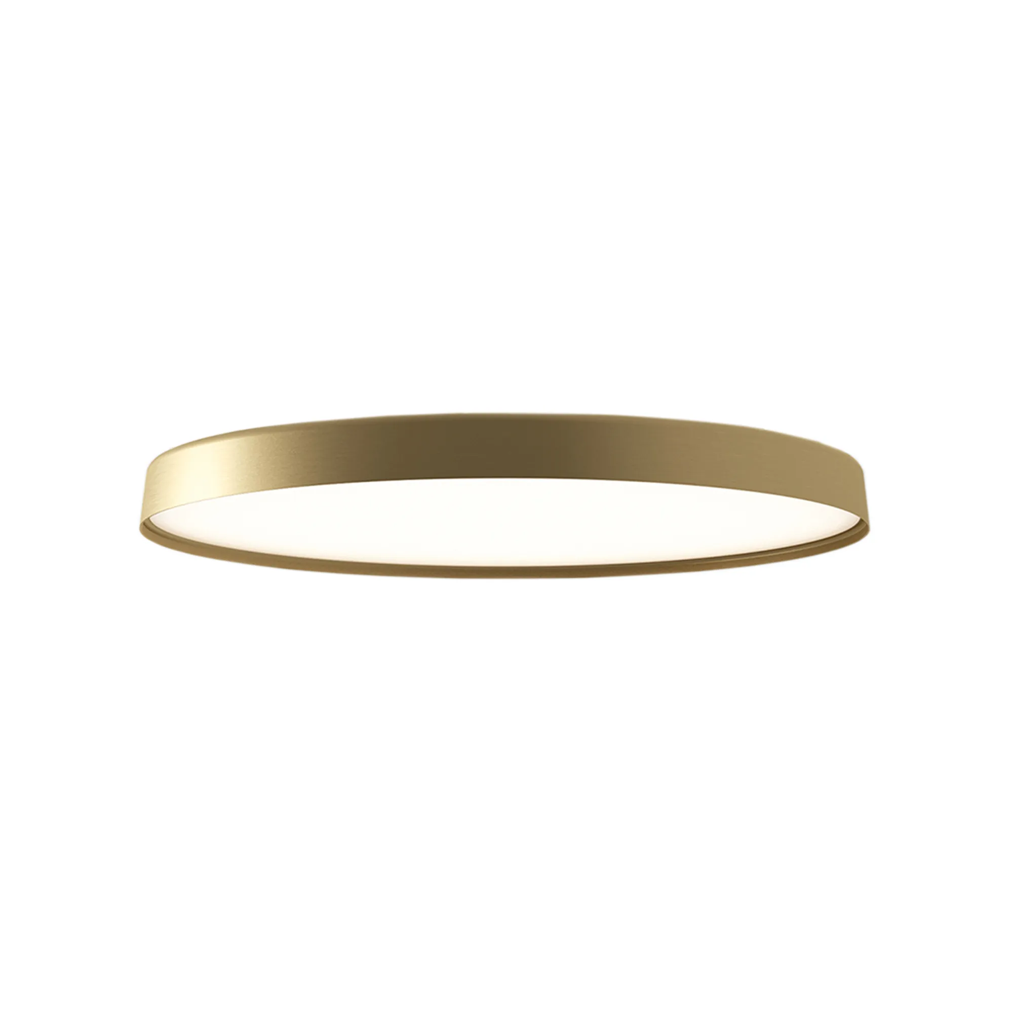 Compendium Plate Wall / Ceiling D81P - 1