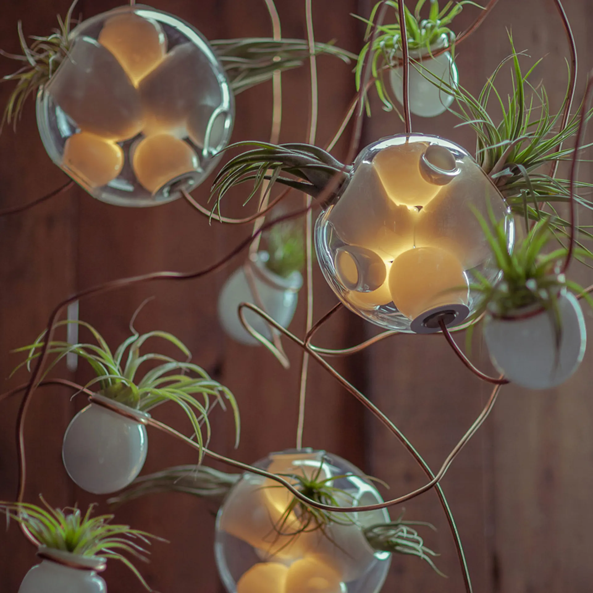 38.11 - Bocci - Omer Arbel - NO GA