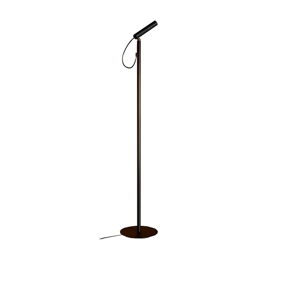 Type Decorative Floor Lamp