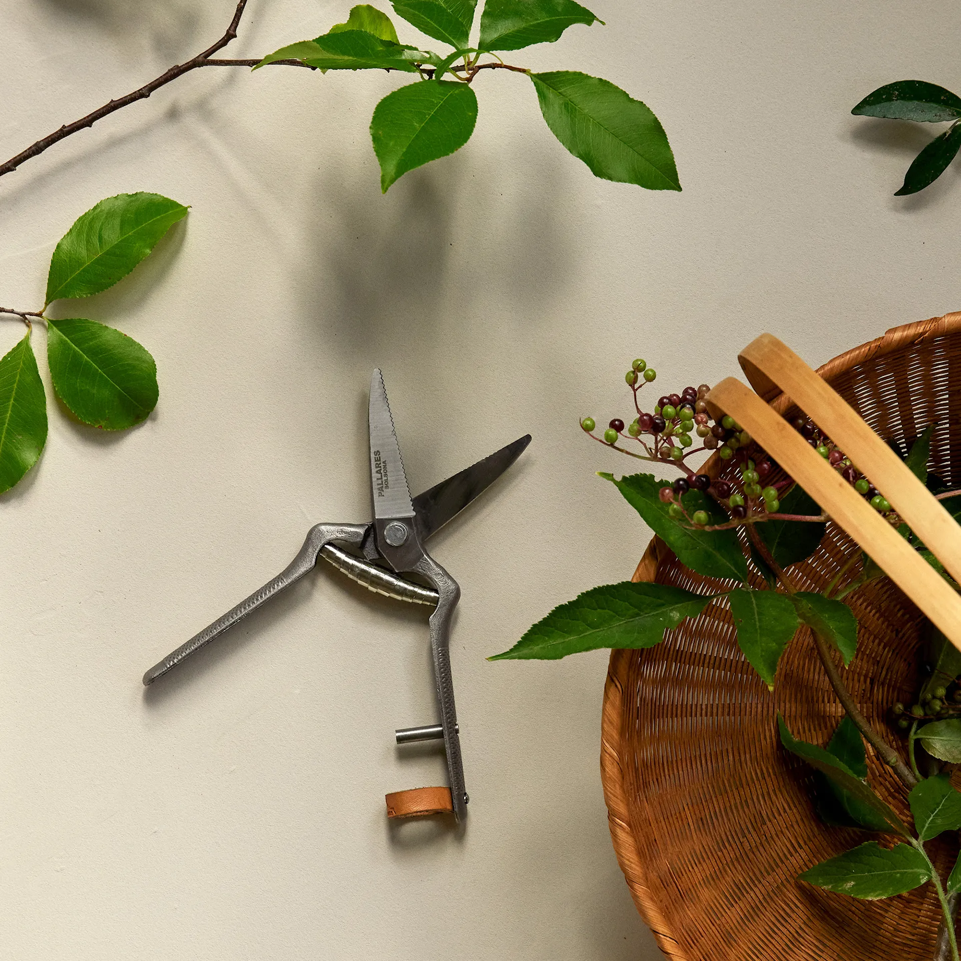 Pallares x Menu Plant Pruner - Audo Copenhagen - NO GA