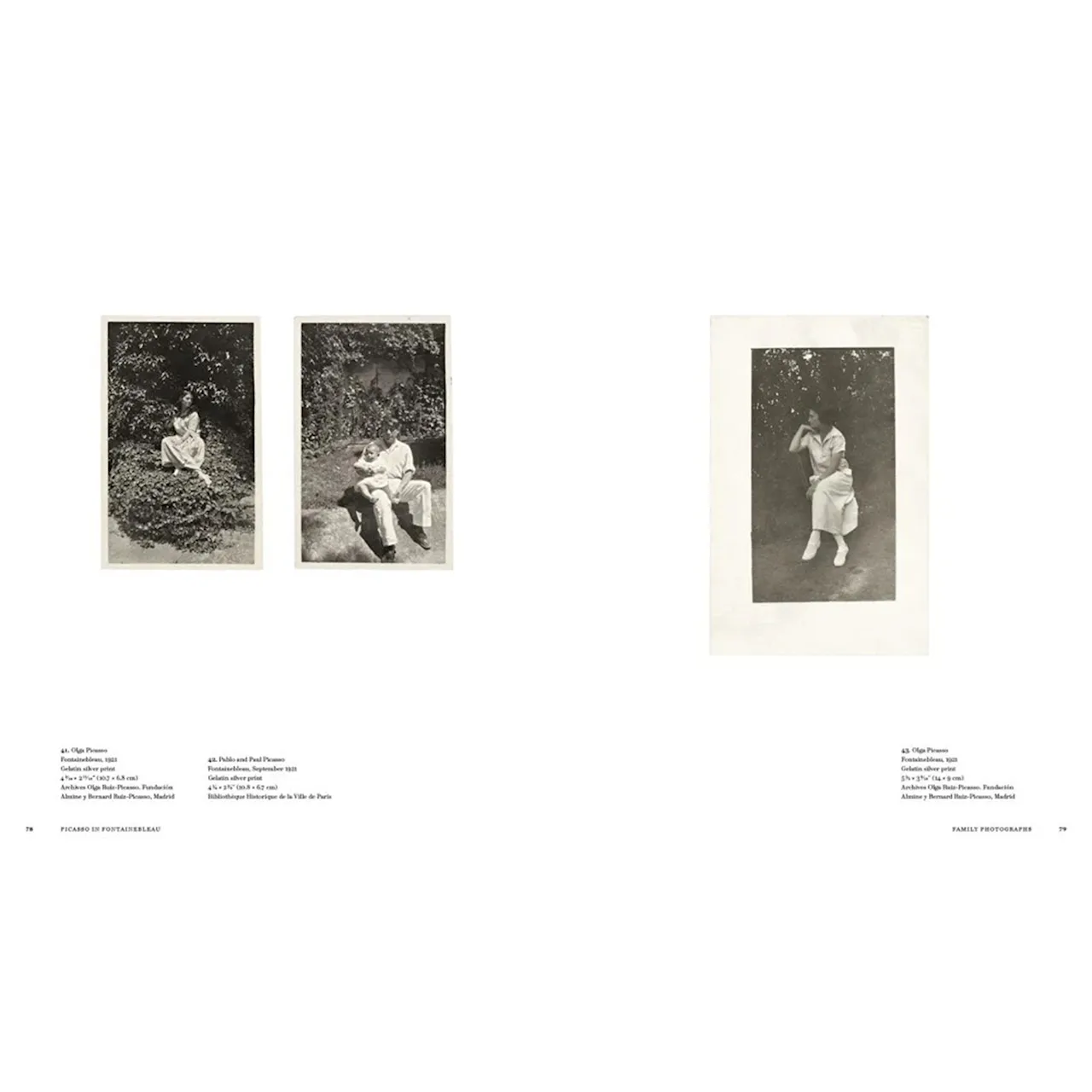 Picasso in Fontainebleau kunstbok