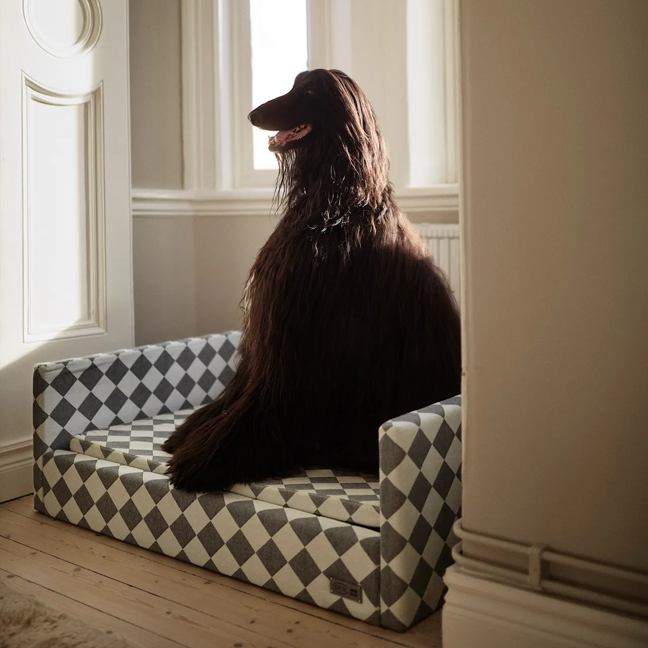 DUX Premium Dog Bed Exclusive Edition