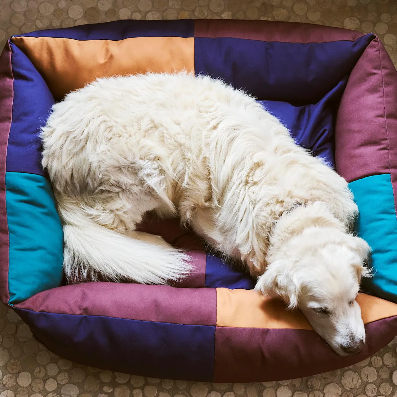HAY hundeseng Large