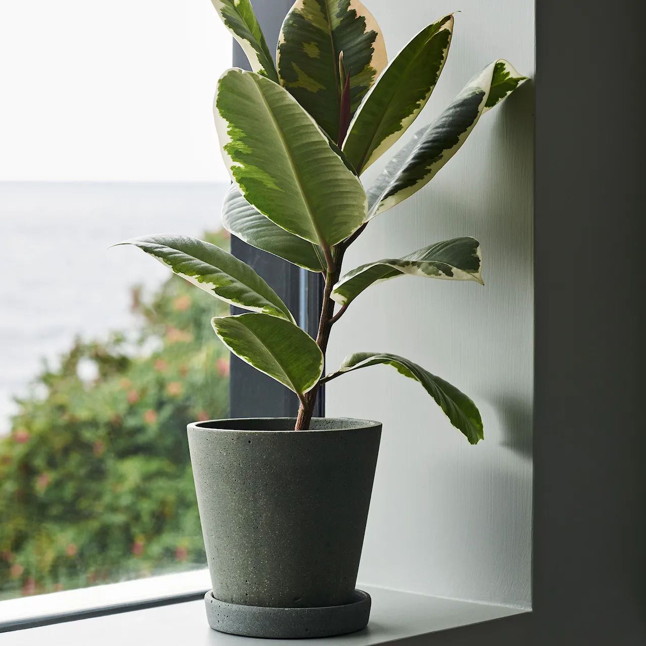 Flowerpot With Saucer Black