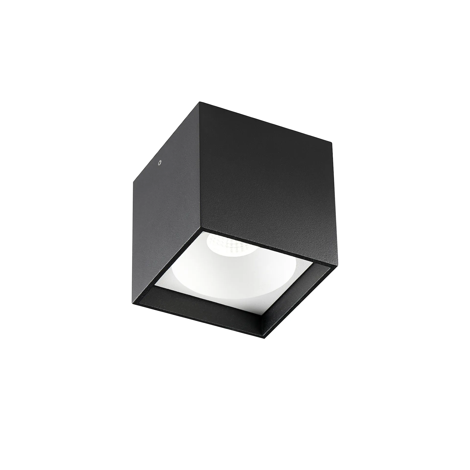 Solo Square - Light-Point - NO GA