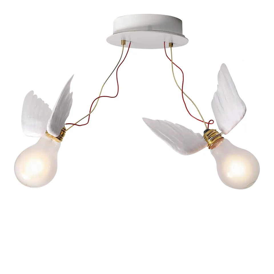 Lucellino Doppio vegg- og taklampe