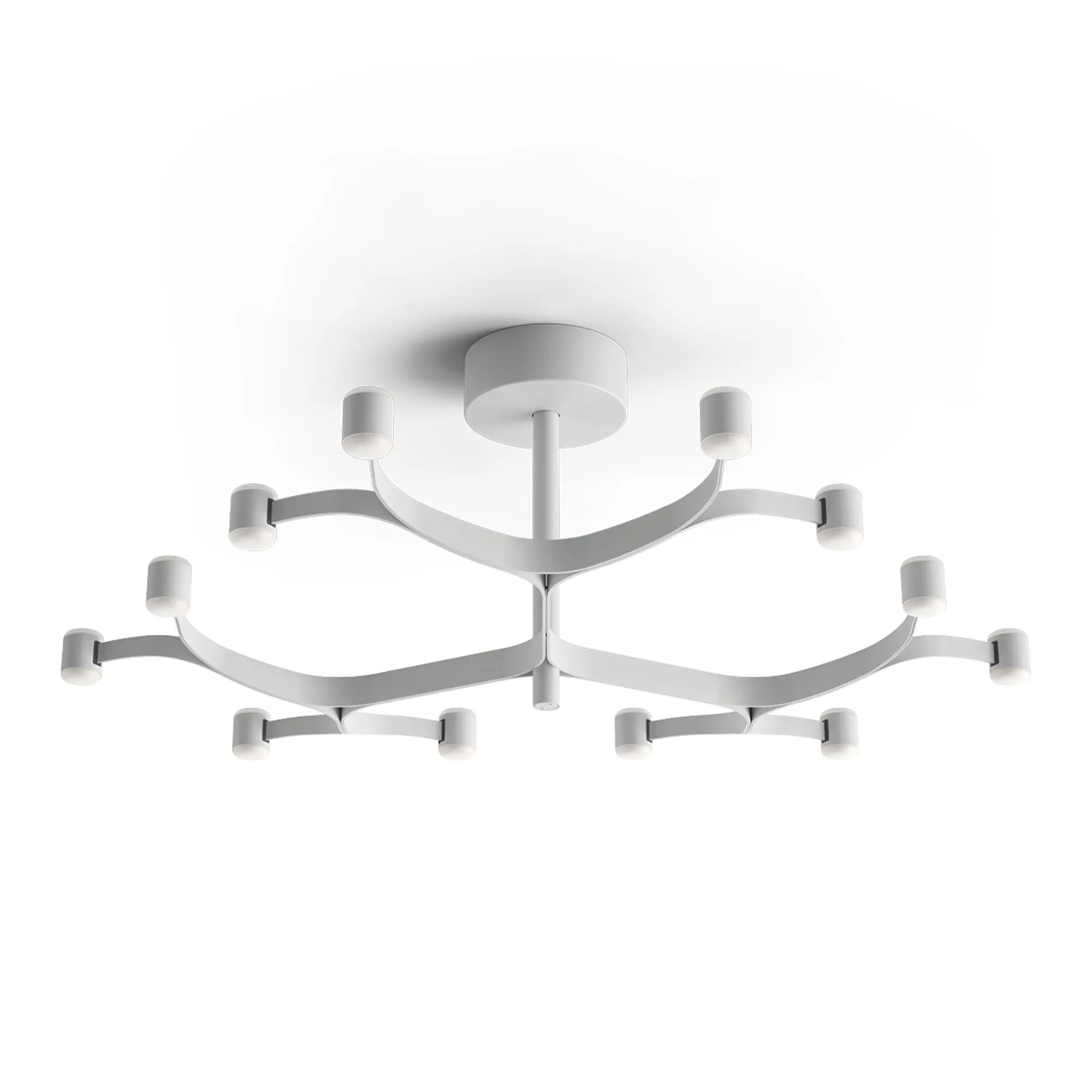 Fronda 12 Phase-Cut plafond - 1