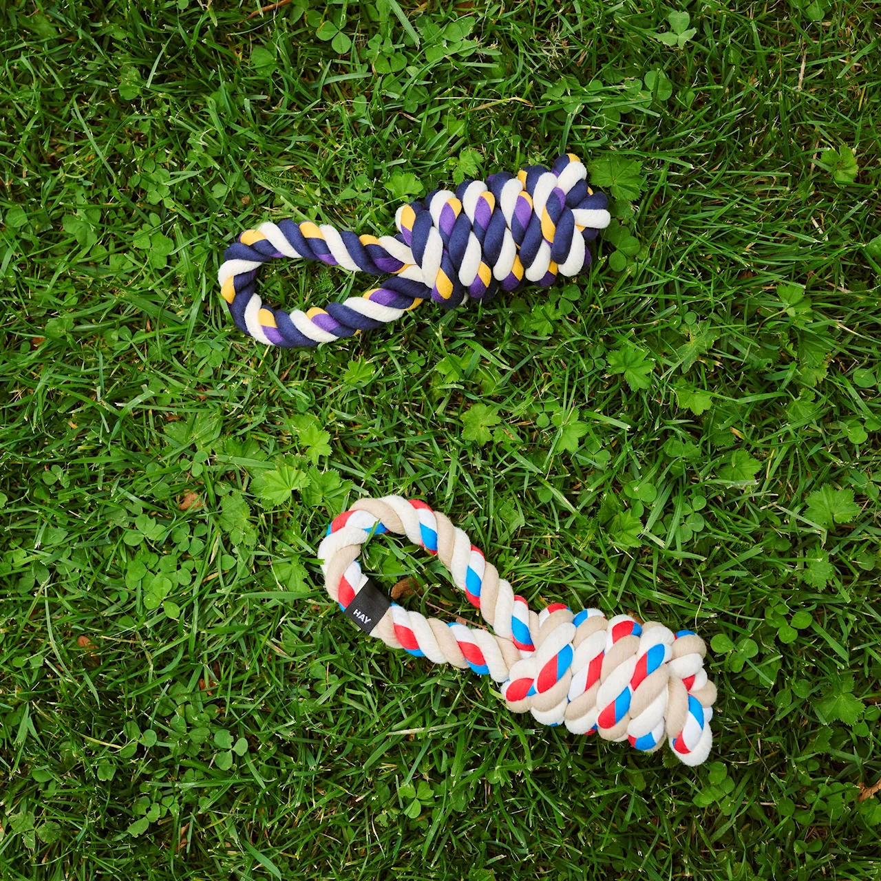 HAY Dogs Rope Toy