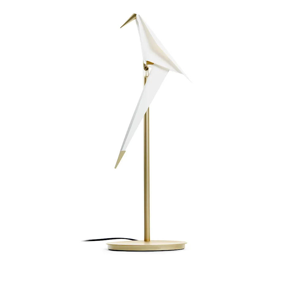 Perch Light Table
