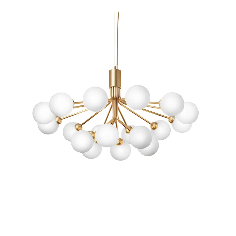 Apiales 18 Pendant