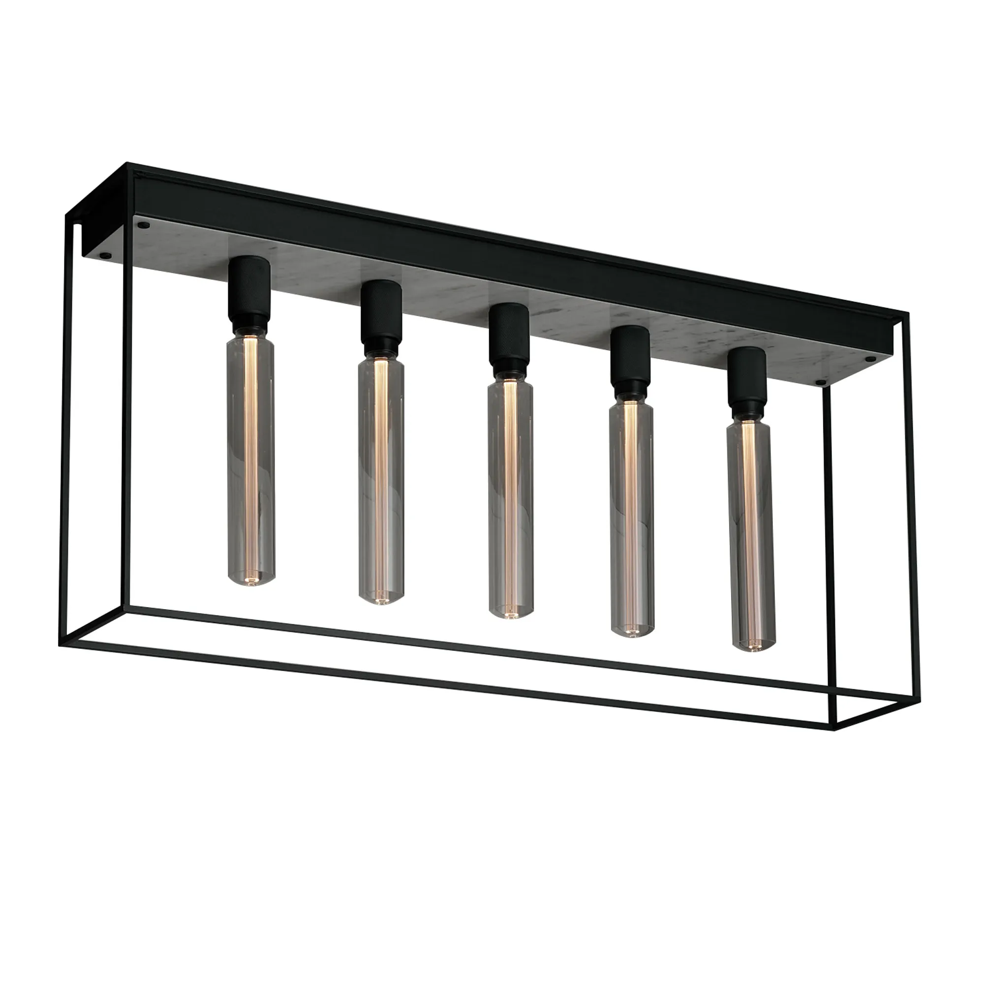 Caged Ceiling 5.0 - 1