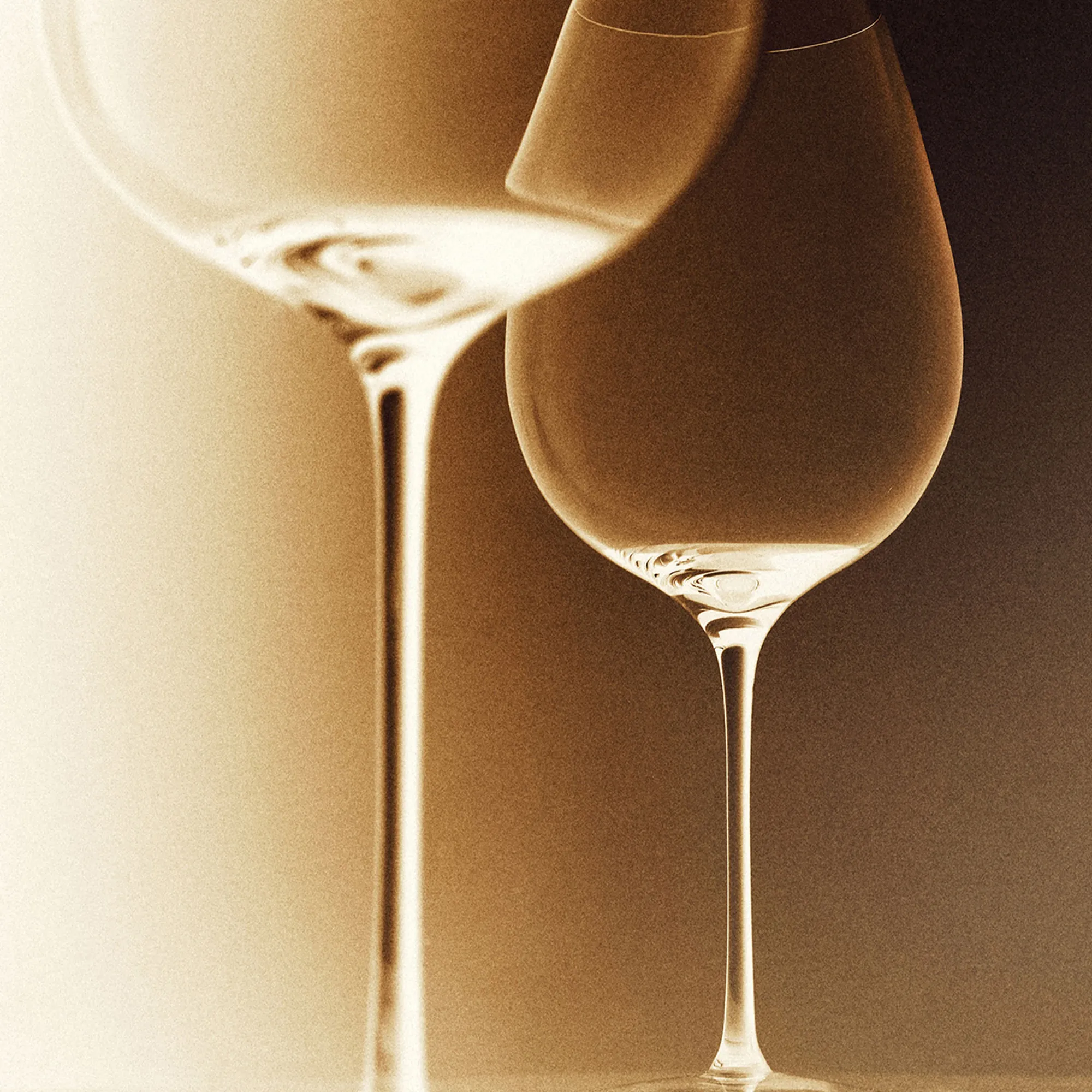 Steel Vinglass 45 cl - 4