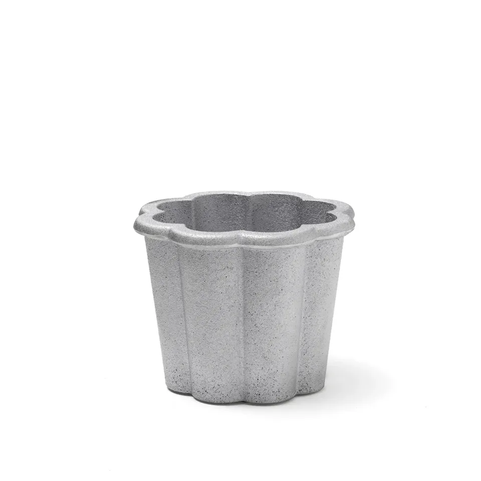 Fjällsippa krukke lav
